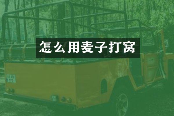 怎么用麦子打窝