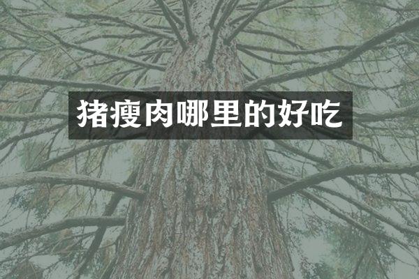 猪瘦肉哪里的好吃