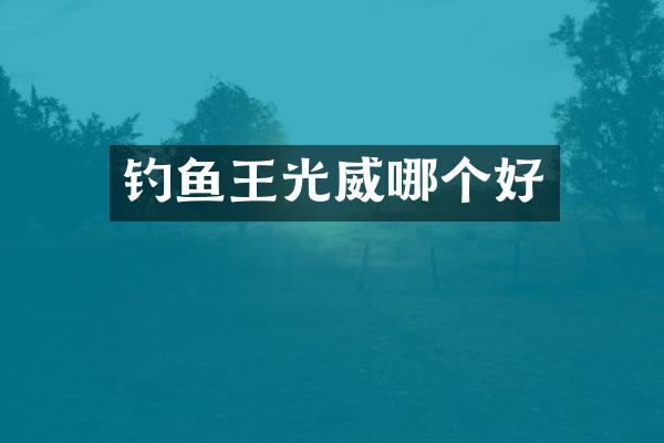 钓鱼王光威哪个好