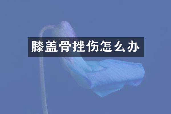 膝盖骨挫伤怎么办