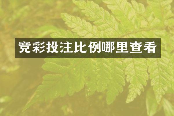 竞彩比例哪里查看