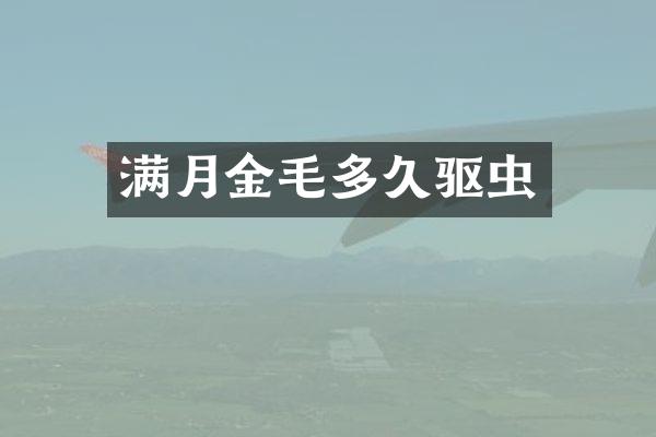 满月金毛多久驱虫
