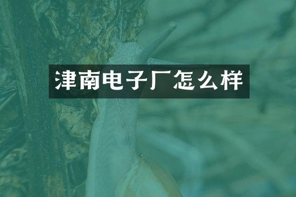 津南电子厂怎么样