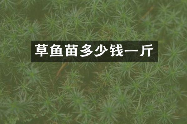 草鱼苗多少钱一斤