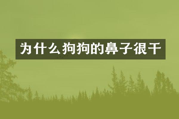 为什么狗狗的鼻子很干