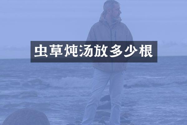 虫草炖汤放多少根