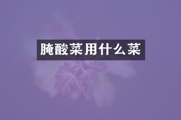 腌酸菜用什么菜