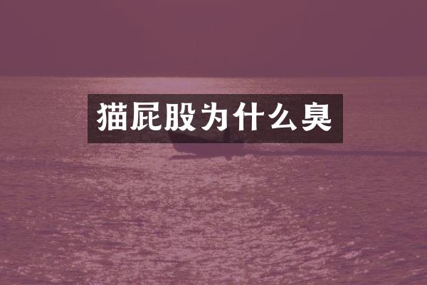 猫屁股为什么臭