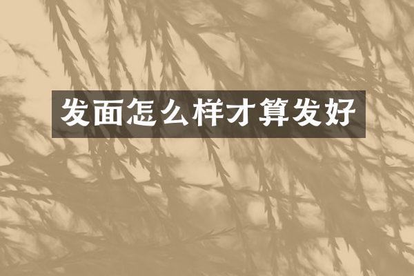 发面怎么样才算发好