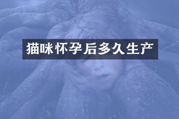 猫咪怀孕后多久生产