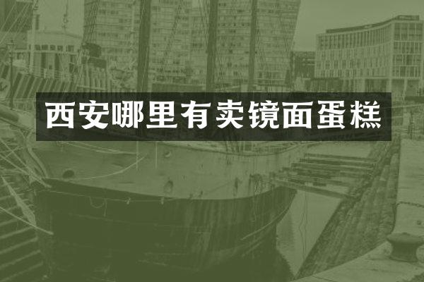西安哪里有卖镜面蛋糕