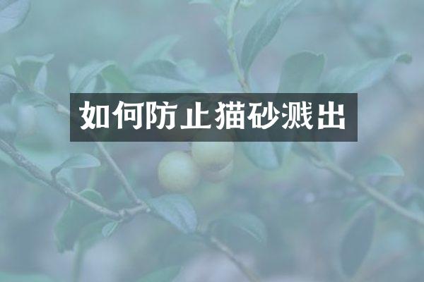 如何防止猫砂溅出