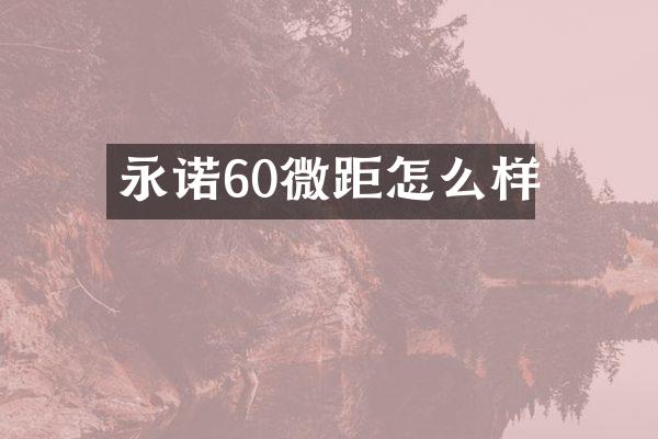 永诺60微距怎么样