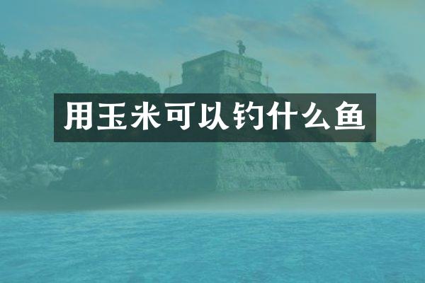 用玉米可以钓什么鱼