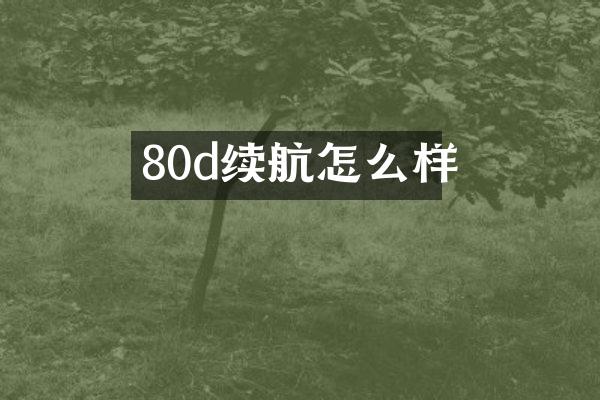 80d续航怎么样