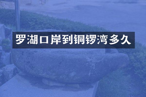 罗湖口岸到铜锣湾多久