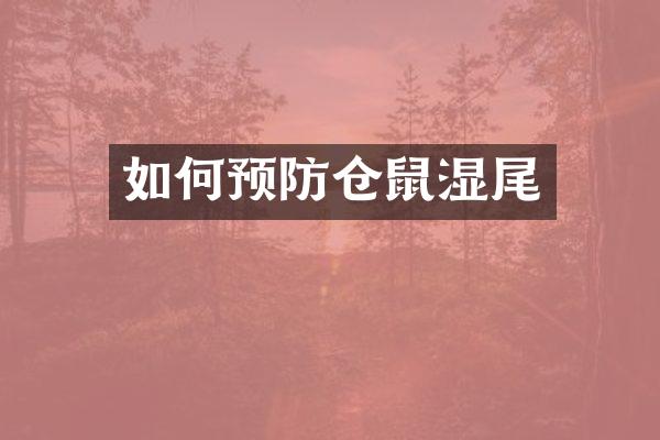 如何预防仓鼠湿尾