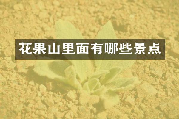 花果山里面有哪些景点