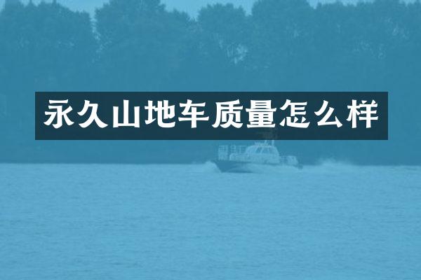 永久山地车质量怎么样