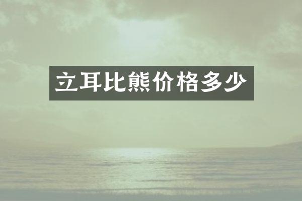 立耳比熊价格多少