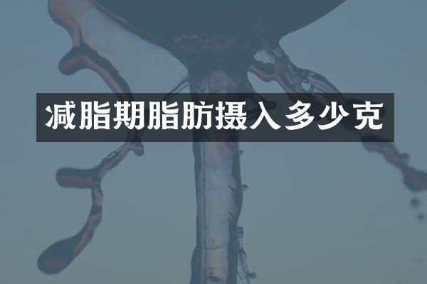 减脂期脂肪摄入多少克