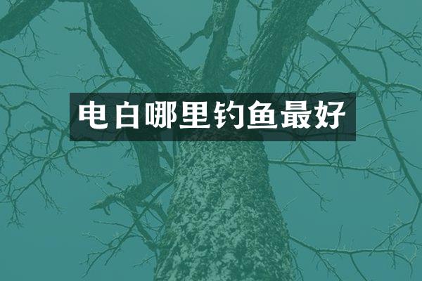 电白哪里钓鱼最好