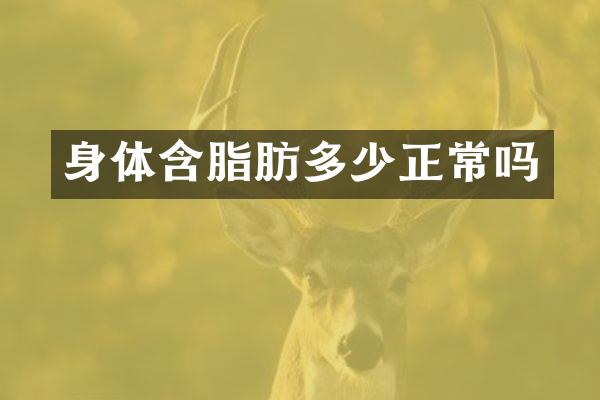 身体含脂肪多少正常吗