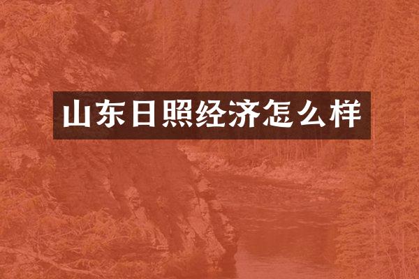 山东日照经济怎么样