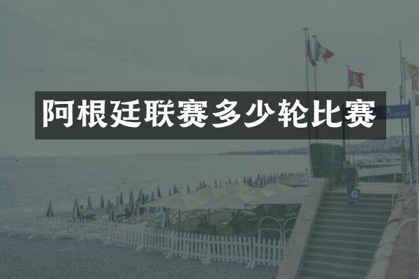 阿根廷联赛多少轮比赛