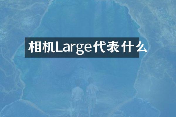 相机Large代表什么