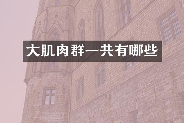 大肌肉群一共有哪些