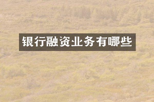 银行融资业务有哪些