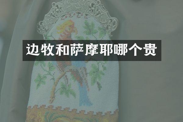 边牧和萨摩耶哪个贵