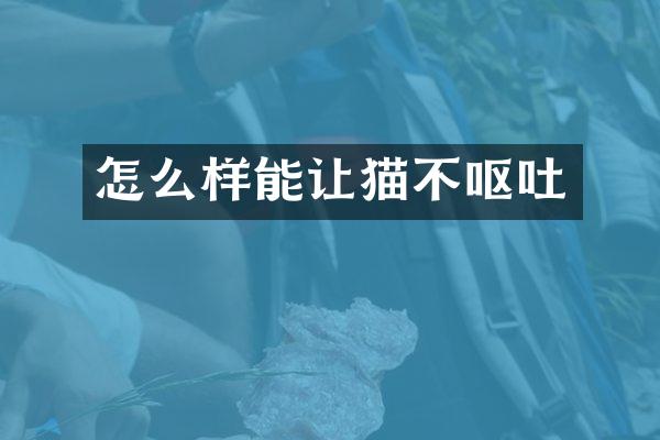 怎么样能让猫不呕吐