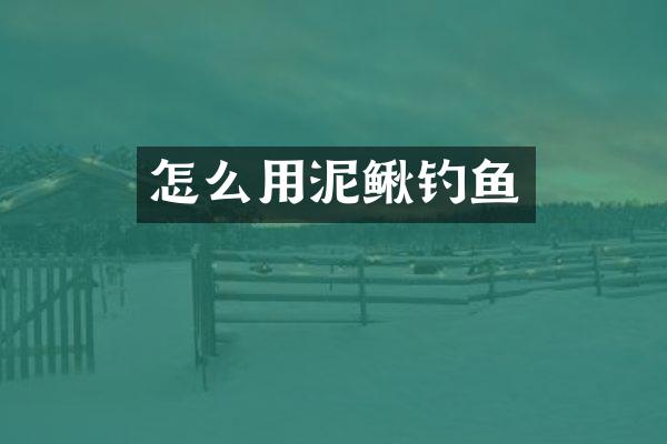 怎么用泥鳅钓鱼