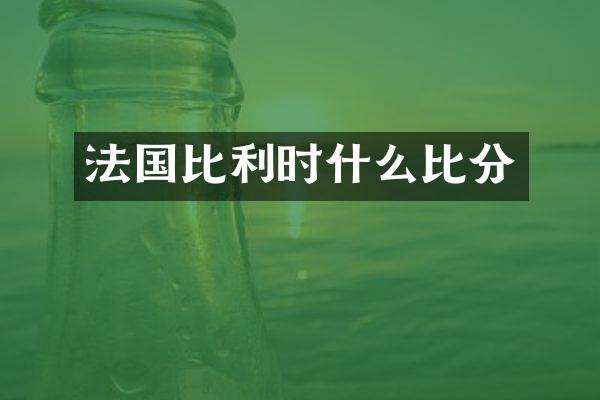 法国比利时什么比分
