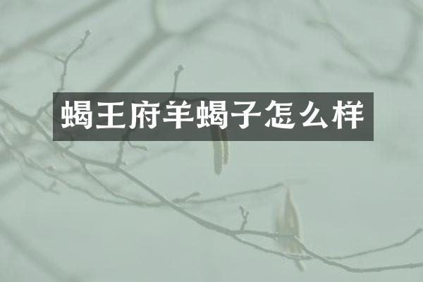 蝎王府羊蝎子怎么样