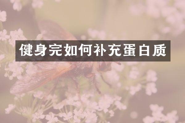 健身完如何补充蛋白质
