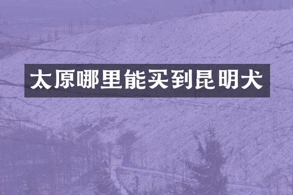 太原哪里能买到昆明犬