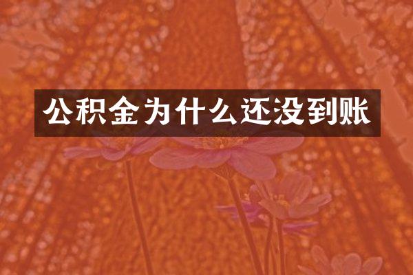 公积金为什么还没到账