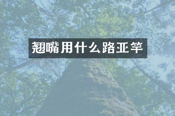 翘嘴用什么路亚竿