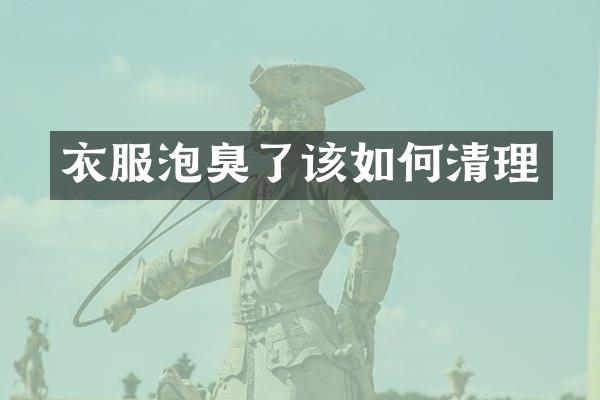 衣服泡臭了该如何清理