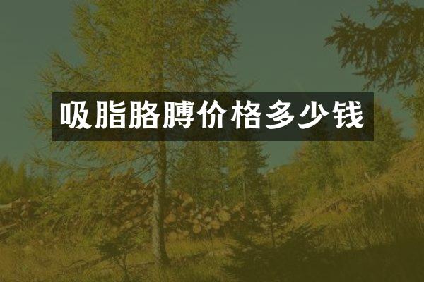 吸脂胳膊价格多少钱