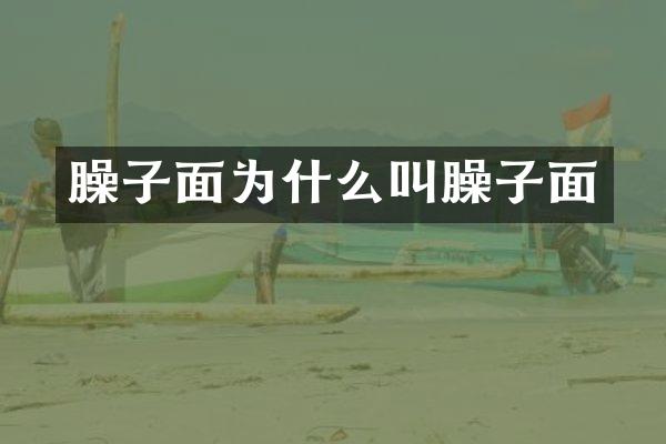 臊子面为什么叫臊子面