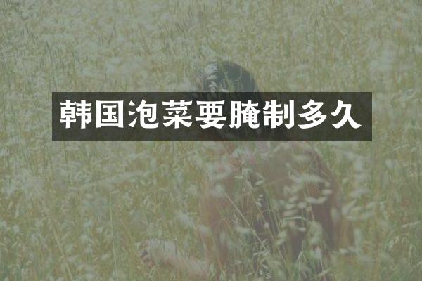 韩国泡菜要腌制多久
