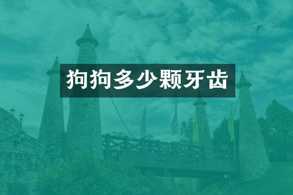 狗狗多少颗牙齿