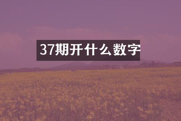 37期开什么数字