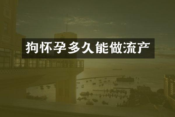 狗怀孕多久能做流产