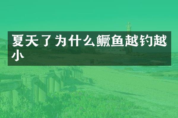夏天了为什么鳜鱼越钓越小
