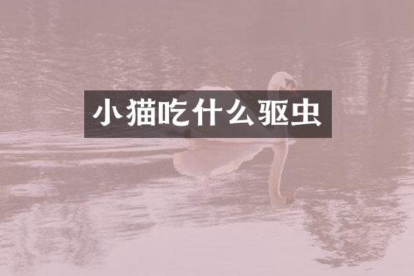 小猫吃什么驱虫
